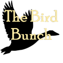 The Bird Bunch