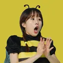 🍯 HaniBees 🐝