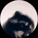 /𝗔𝗯𝗼𝗠𝟯𝗱𝗶 𝗩𝗮𝗹𝗹𝗲𝘆 〷