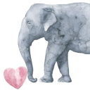 The Elephant Room