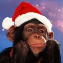 The Monke Isles Discord Server Icon