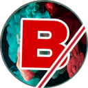 Bandicoot/ icon