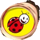 omegabedronka