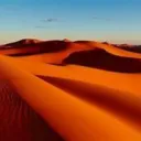 Camel Cabana