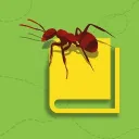 formicopedia.org