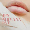 JPN NIRVANA PVE 総合