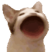 iiyra