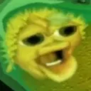 ZAP ZAP