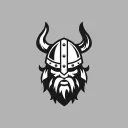 The VIKINGS