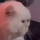 ahhhhton's discord