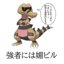 PVP Labo