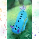 Sea Slug Gang (Cult) 😩