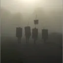 Freunde der Alten Geschichte