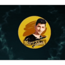 HARRSHEK STUFF