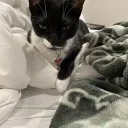 🌟 𝐃𝐞𝐚𝐭𝐡𝐫𝐮𝐧 𝐏𝐨𝐫𝐭𝐚𝐛𝐥𝐞 𝐂𝐨𝐦𝐦𝐮𝐧𝐢𝐭𝐲 🌟 Discord server icon