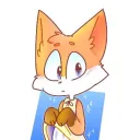 #ZORRITOS 🦊 (◠ᴥ◕ʋ)