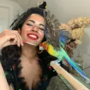 Learn Taxidermy