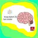 quesci batch '25