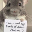 Family of Misfit Chickens