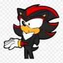 shadow's server