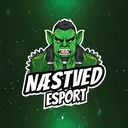 Næstved Esport