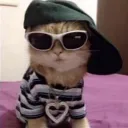 xpotatoboi ♡