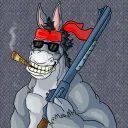 The Donkey Dojo