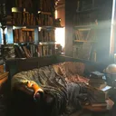 The Repossessed