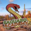 Saguaro Entertainment icon