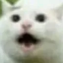 ꧁𝚁𝚎𝚏𝚊𝚌𝚑𝚎𝚛𝚒𝚝𝚘 𝙶𝚛𝚘𝚞𝚙 ꧂