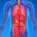 Health
