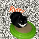 Mr. Bigglesworth’s Lounge
