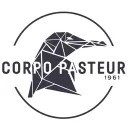 Corpo Discord