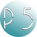 P5 HUB Discord Server Icon