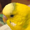 釣られてて草