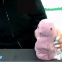 pink silicone apparatus worshippers