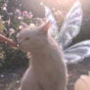 *âœ§á´á´á´É´á´„Êœá´€Ê€á´ Æ¸ÌµÌ¡ÓœÌµÌ¨Ì„Æ·