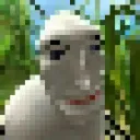 MEUSA