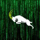 Matrix Opens