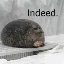 ok