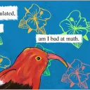 Hawai'i Fricord
