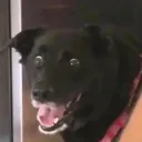 EpiDiscord