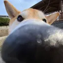 hiiiiiii