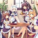 Neko Café | DISBOARD: Discord Server List