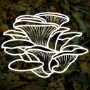 Discovery icon for All Things Spiritual 🔮🌿👁 Discord server