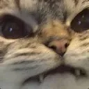 Krokmou
