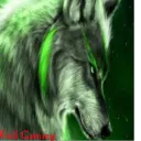 LoneWolf Gaming