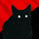 Anoncat