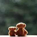Bear Brown Scans