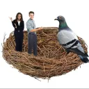 Entertainment Nest for Humans & Pigeons